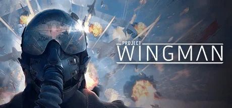 Project Wingman PC Cheats & Trainer