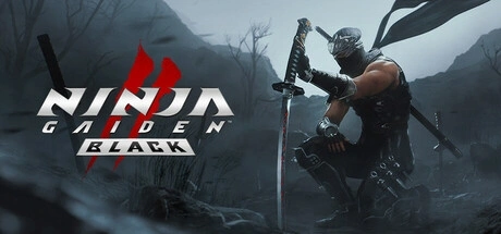 NINJA GAIDEN 2 Black 电脑游戏修改器